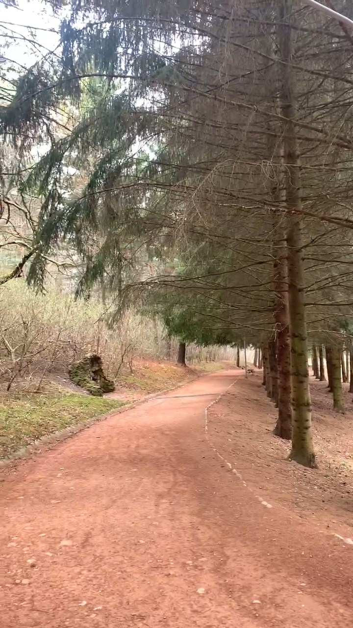 Погода в Кисловодске 6 апреля 2023. Воздух насыщен озоном.