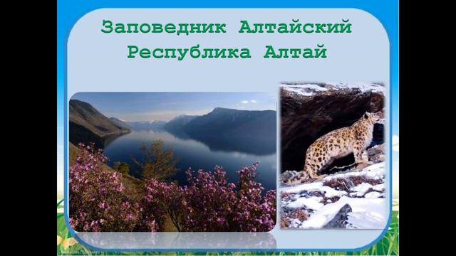 заповедники смотреть онлайн