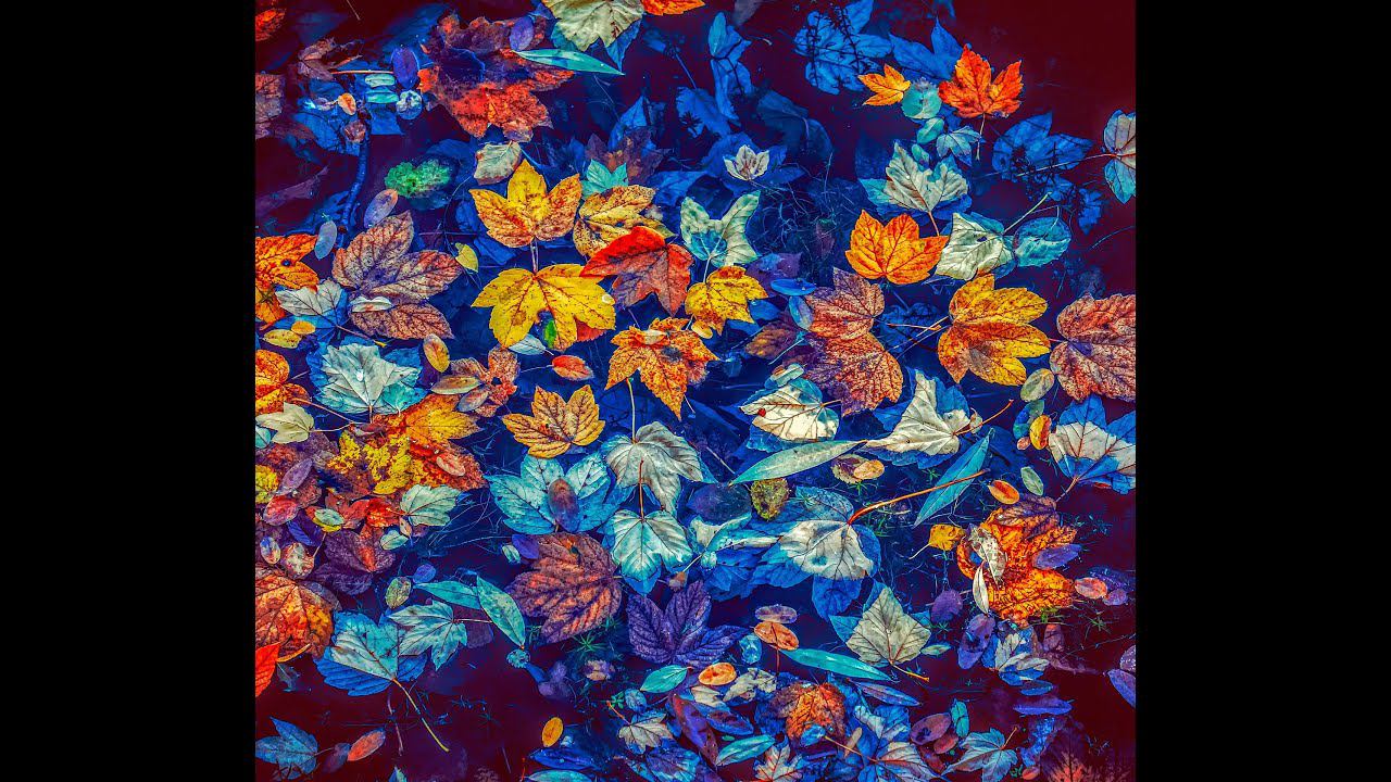 ЧТО ОЖИДАЕТ В ОКТЯБРЕ ️ смотреть онлайн