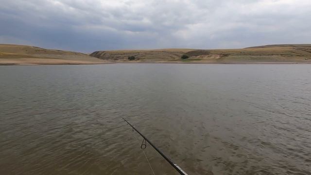 СУДАК ЛЮБИТ ТАКУЮ ПОГОДУ !!! Рыбалка в Талдыкоргане. Моя рыбалка 🎣. Лучшая приманка на судака ! смотреть онлайн