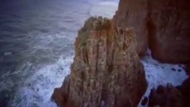 ЛЕБЕДИ! смотреть онлайн