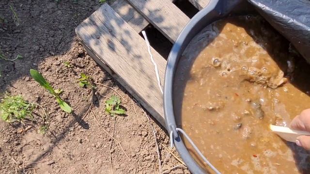 Влог.Дача.Клубника.Голубиный помет помог.Веранда смотреть онлайн