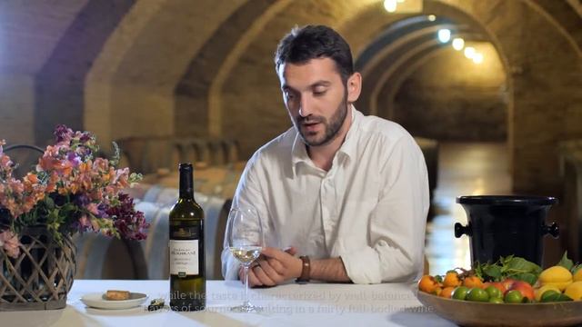 Château Mukhrani | Tasting: Rkatsiteli Supérieur • შატო მუხრანი | დეგუსტაცია: რქაწითელი სუპერიორი смотреть онлайн