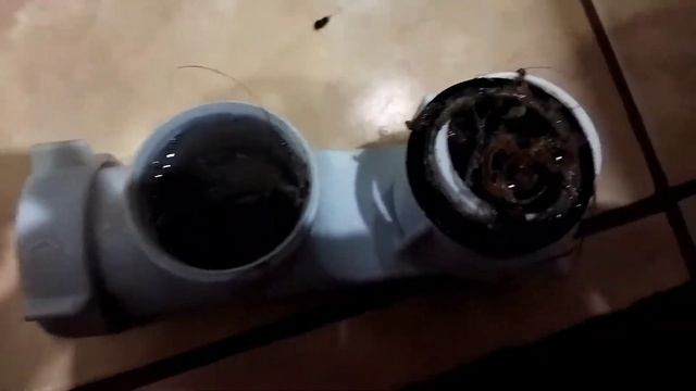 Строительная Сага