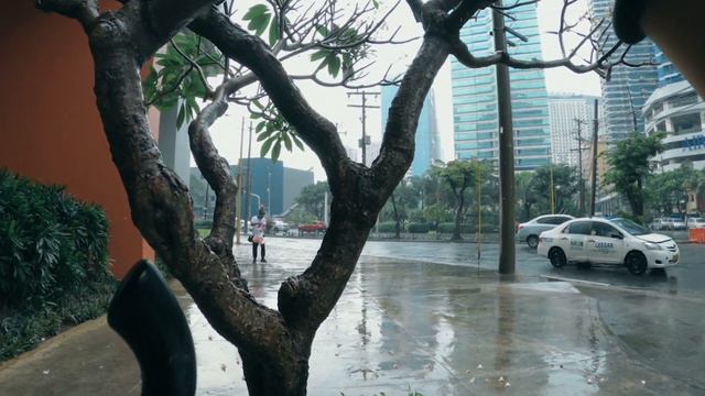 No Edit 12 - MOODY Film Simulation Street Photography ft. Fujifilm X-T4 & Fuji 50mm f2 (JPEG Recipe смотреть онлайн