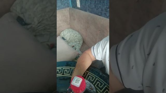 Соса Сола из Беларуссии. смотреть онлайн