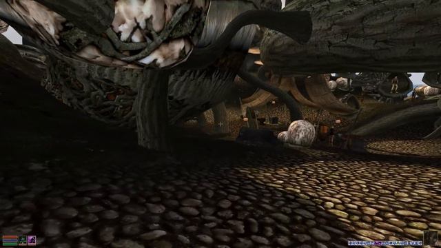 Morrowind (Vol. IV) - 45 - Nueranar