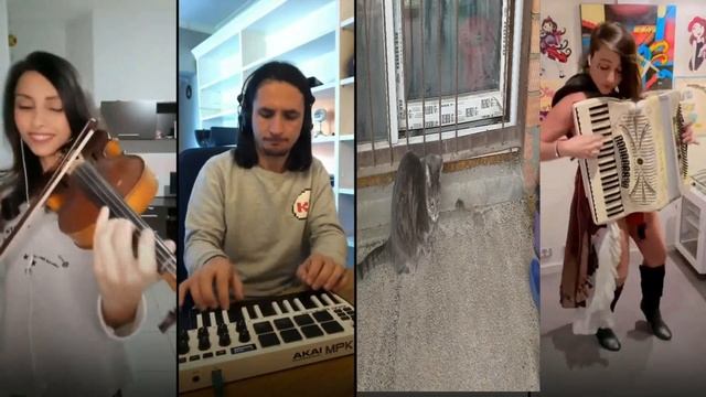 Кошка и мышь. Схватка. Мышь обречена. Кошка играет с жертвой. смотреть онлайн