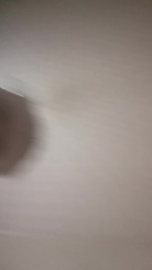 ш