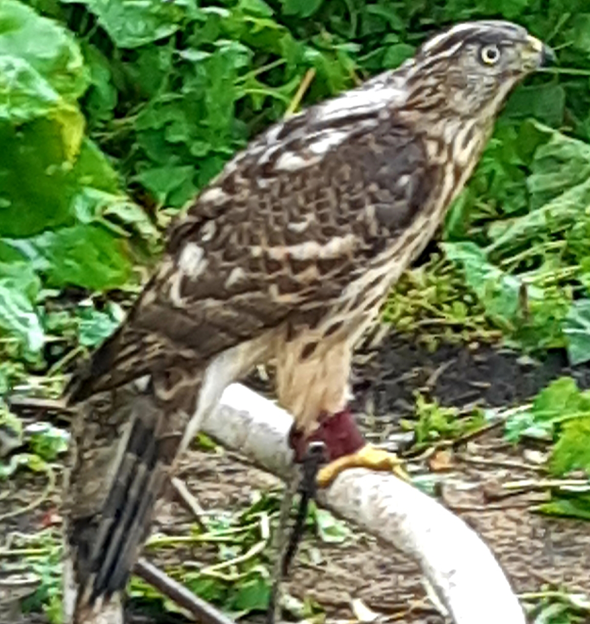 Мастерская???☝️