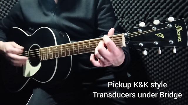 Ibanez PN14 Guitar - 12 Fret Acoustic Guitar - Electro Acoustic Fishman + K&K Pure Mini Style смотреть онлайн