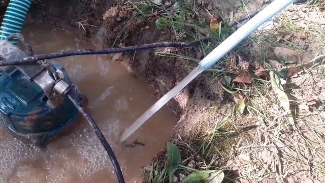Ищу воду у себя//Сапожник без сапог?????♂️//Участок со склоном//Результат совсем не радует ? смотреть онлайн