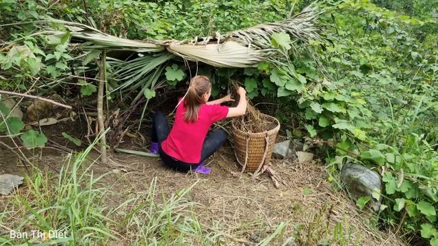 build farm Pigs, chickens, ducks, goats, rabbits, birds in the forest - Gardening | Ban Thi Diet смотреть онлайн
