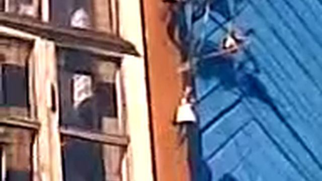 Птичка в окошко смотреть онлайн