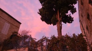 Иду по святым местам к монастырю Пантелеимона Целителя, в небе над Иерусалимом потрясающий закат