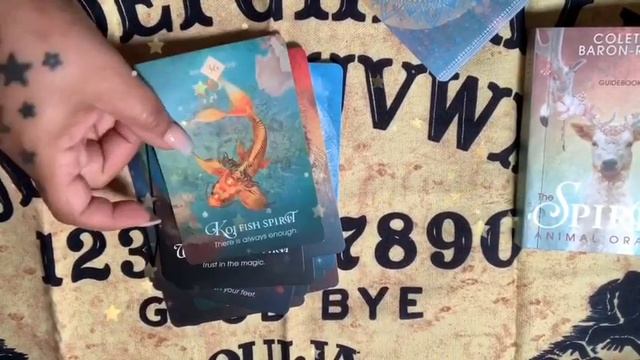 Deck challenge Day 1 of 7 / The Animal Spirit Oracle смотреть онлайн