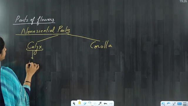 Morphology Of Flowering Plants - The Flower || Botany || LIVE || Rohini Gupta | Sri Chaitanya Gosal