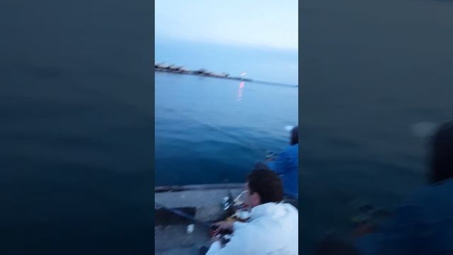 Крым.Ялта.Барабулька . смотреть онлайн