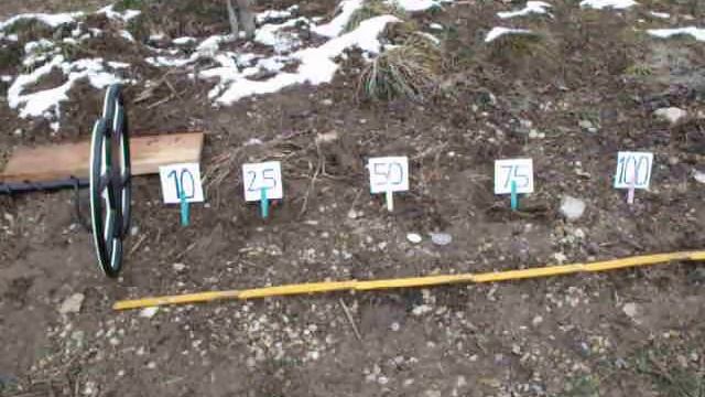 Test Detech EDS Plus Metaldetector