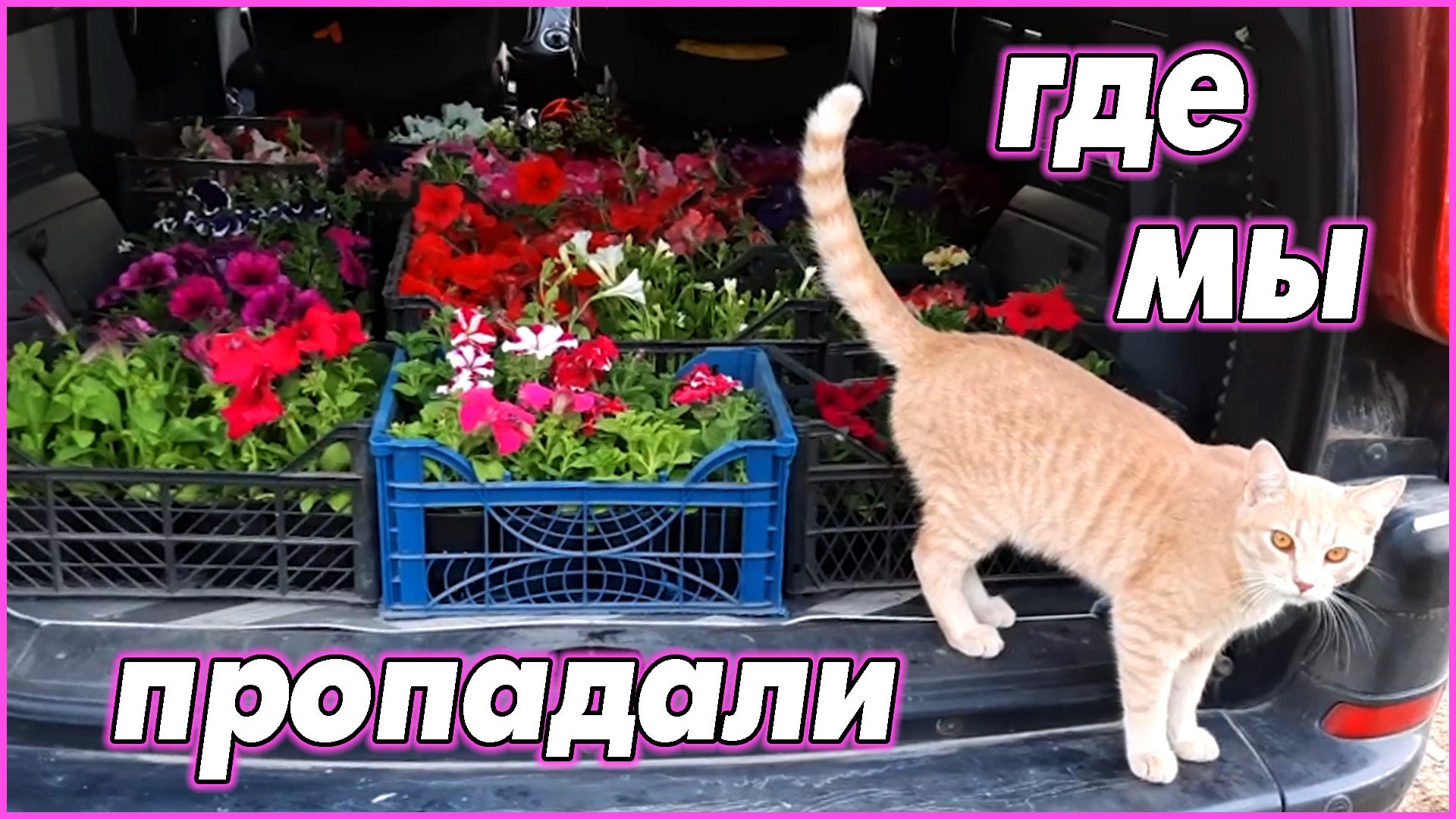 #80 Куда пропали? Чем занимались? Новости за май, июнь смотреть онлайн
