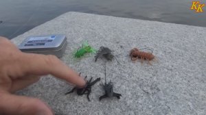 Константин Кузьмин. Москворецкий голавль.