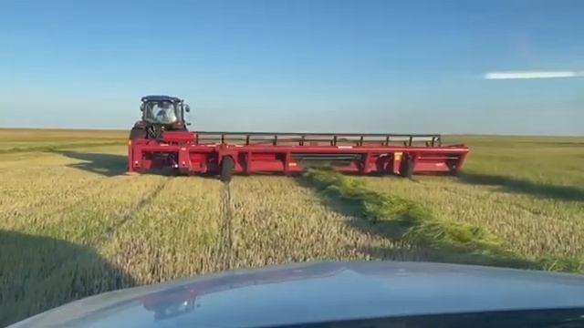 Скашивание и укладка валка на сторону прицепной жаткой ДонМар смотреть онлайн