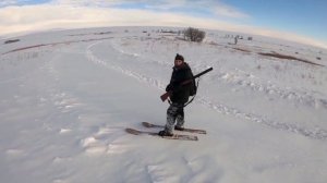 Охота на зайца за 3 минуты. Охота на зайца зимой на лыжах.