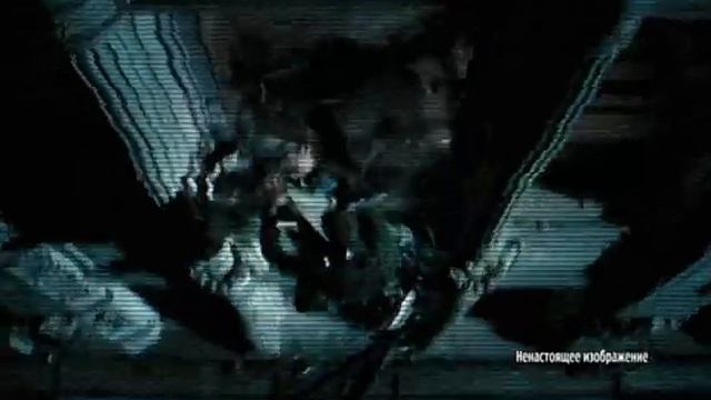 Лицензионные dvd смотреть онлайн