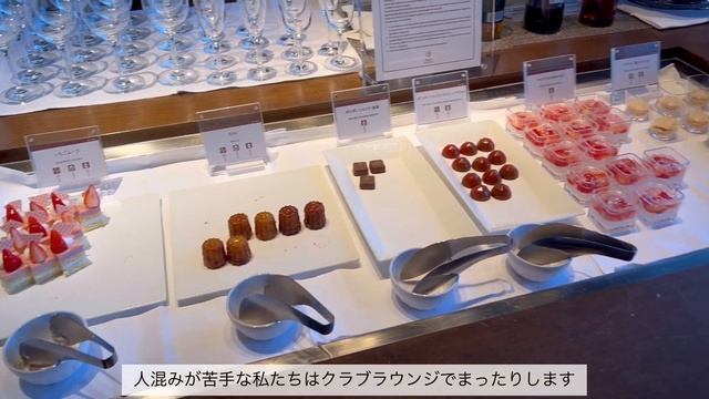 【vlog】ほっと一息?ゆるく過ごした休日/ホテルステイ/夫婦二人暮らし/newコスメ/フレンチトースト/アメリカのお土産??/スタバ смотреть онлайн