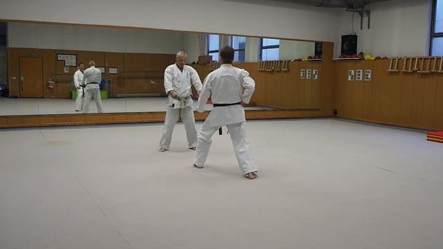 Shotokan Throws / Wuerfe смотреть онлайн