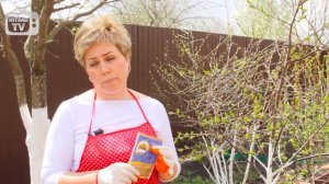 Обработка деревьев весной ✅ Лечение монилиального ожога ? Препарат Хорус