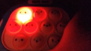 продолжение про квик-поп.mp4