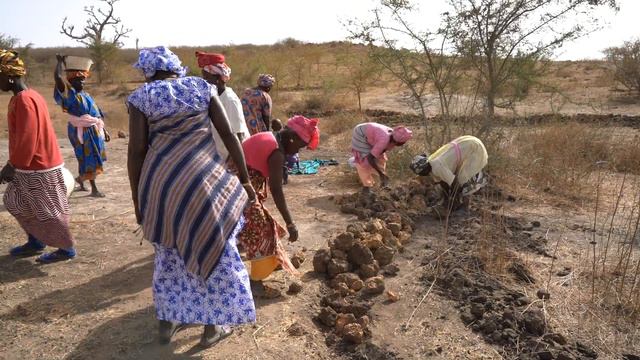 Broederlijk Delen steunt erosieproject in Senegal смотреть онлайн