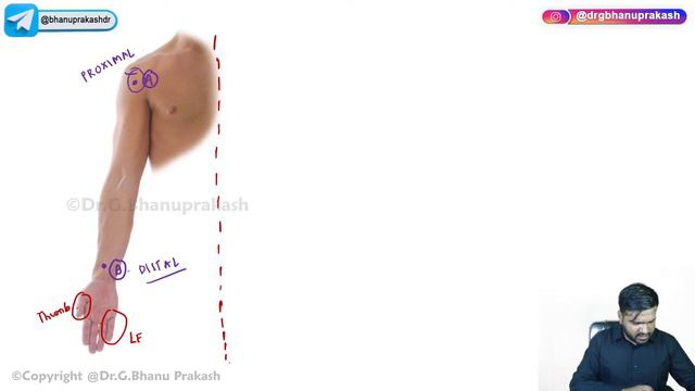 General Anatomy: Part 2 - Anatomical Planes, Terms in Gross Anatomy, Anatomical Movements смотреть онлайн