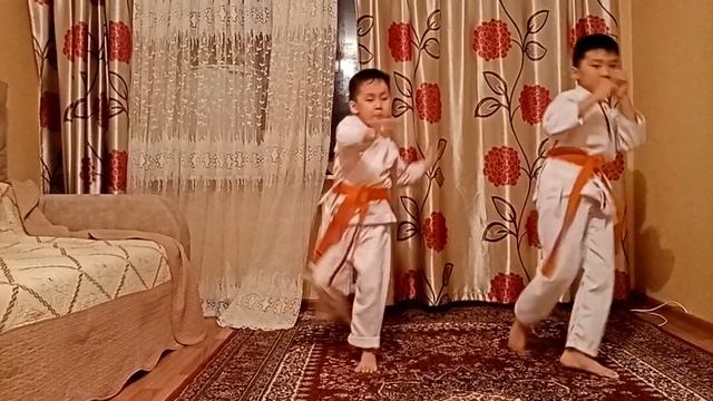Ашихара каратэ.Тренировка. Крутой братан,Қайсар Бексұлтан мен Ерсұлтан.Карантин смотреть онлайн