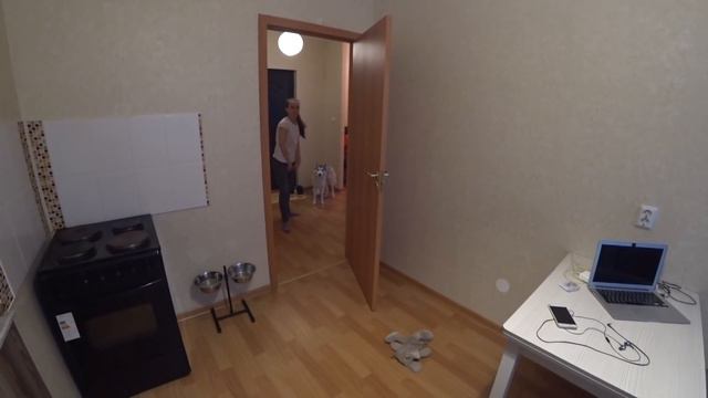 Влог: Новый год 2019: Суета ради суеты смотреть онлайн