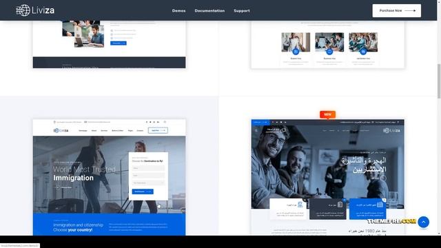 Liviza - Immigration Consulting WordPress Theme 14 coaching Easy Create Website смотреть онлайн