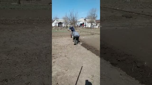 Пашем огород с помощью лебедки смотреть онлайн