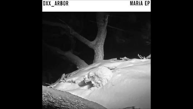 [Premiere] DXx & Arbor - Null (French Tabloïd) смотреть онлайн