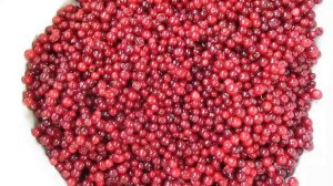 Брусника. 4 самых простых и быстрых способа консервации (без варки).