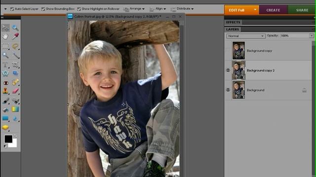 DSE - Photoshop Elements Three Vignettes Tutorial смотреть онлайн