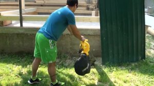 Воздуходувка пылесос Champion EB4026