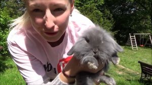 Как легко определить пол кролика. Правильное определение пола у крольчат