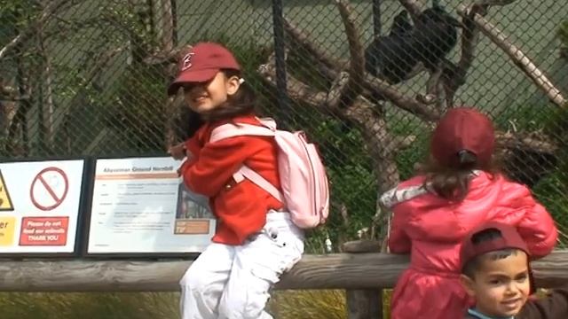 london zoo ...school trip смотреть онлайн