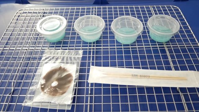 Sporeswabs on Agar - The Agar Files смотреть онлайн