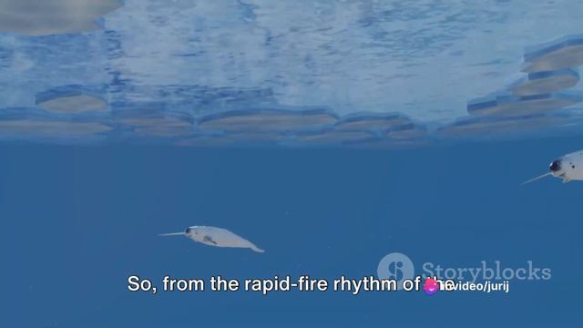 The Kings and Queens of Hearts: Exploring Largest and Smallest in the Animal Kingdom смотреть онлайн