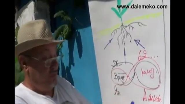 Школа органического земледелия. Органическое земледелие с чего начать. Как получить большой урожай. смотреть онлайн