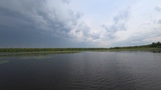 Тростенское озеро Рузский район смотреть онлайн