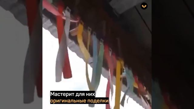 В Красноярске благодаря дворнику в детском саду поставили электронные ворота смотреть онлайн