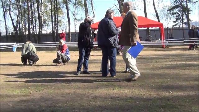 Moscow Watchdog Чемпионат 2012 ч XVI ЧК Сравн. на Лучшего Кобеля